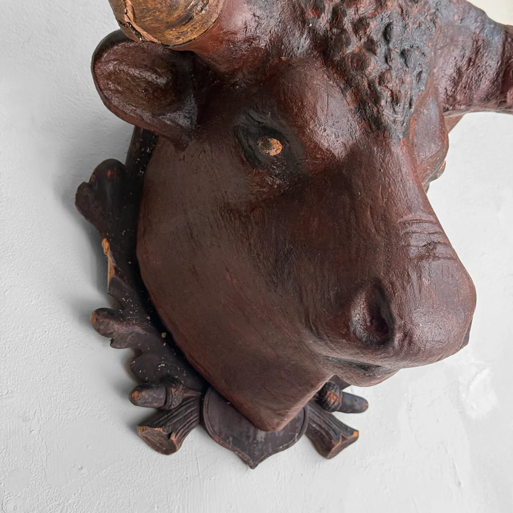 Early 20th-century Black Forest Carved Steer with Horns - Image 3