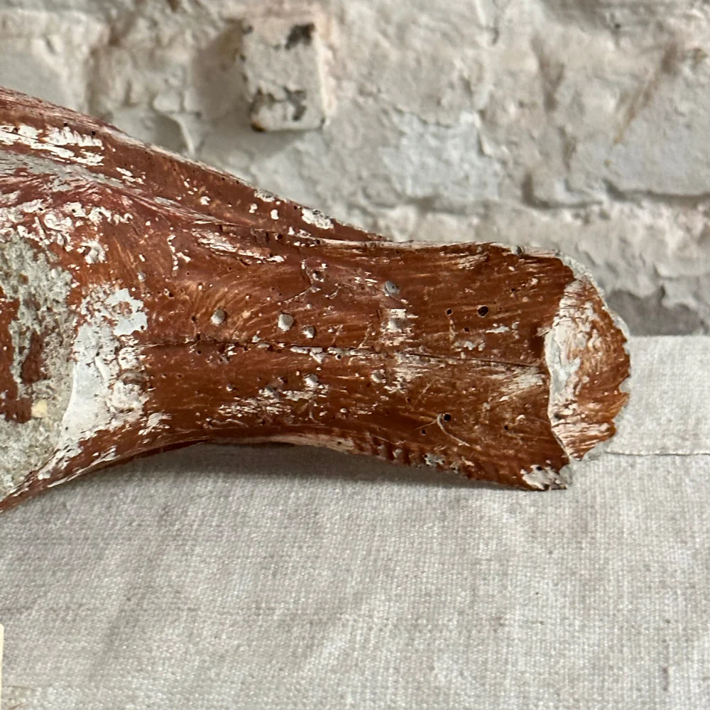 Early 20th Century French Cement Bird - Image 4