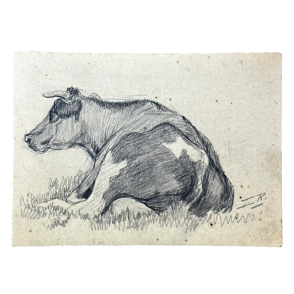 Evert Rabbers Early 20th-century Cow Drawing (ERA14)