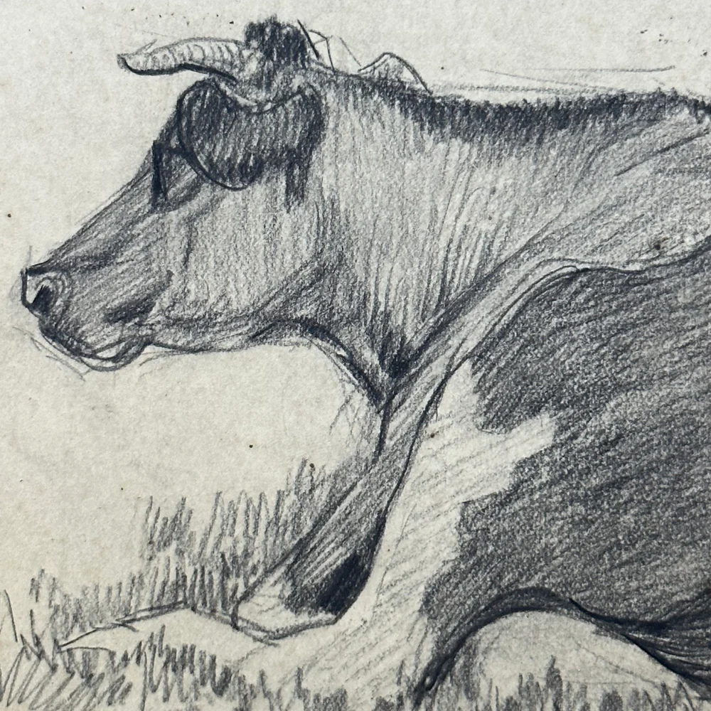 Evert Rabbers Early 20th-century Cow Drawing (ERA14) - Image 3