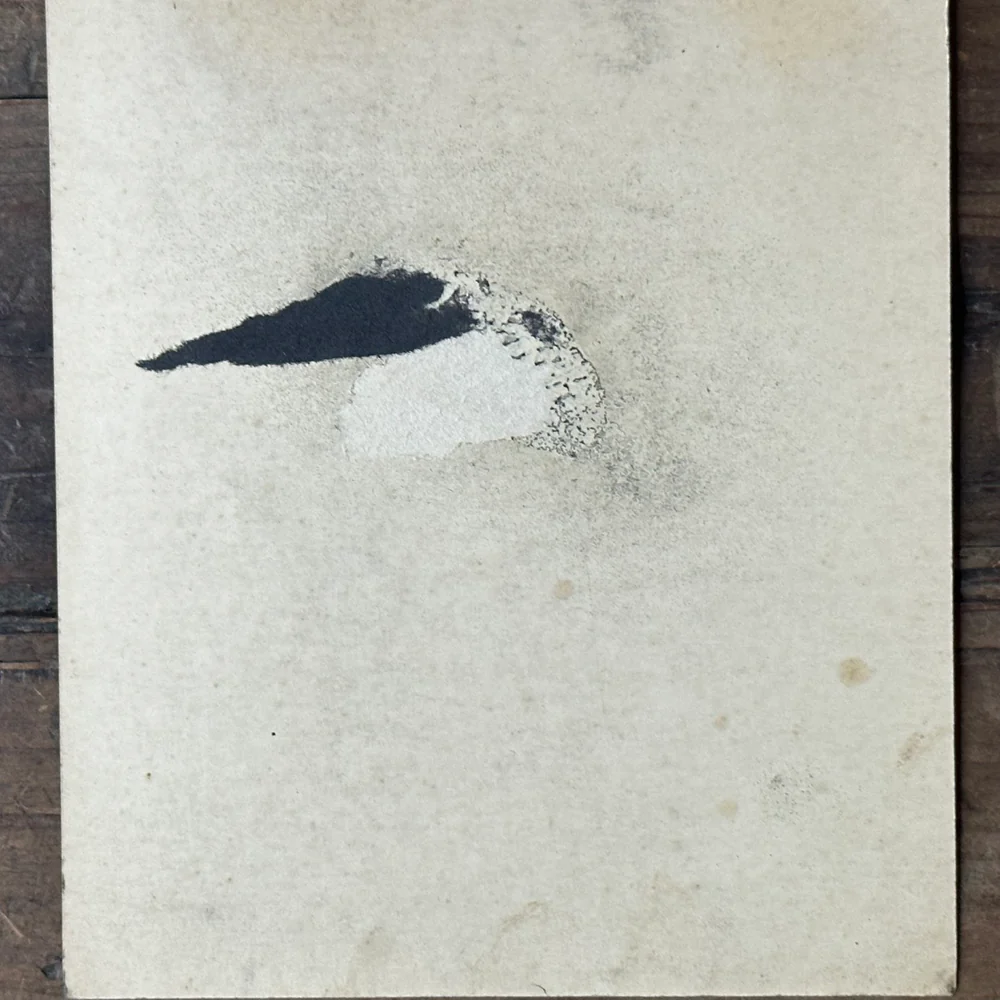 Evert Rabbers Early 20th-century Cow Drawing (ERA14) - Image 6