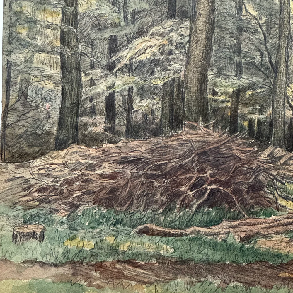 Evert Rabbers Early 20th-century Landscape Drawing (ERL12) - Image 5