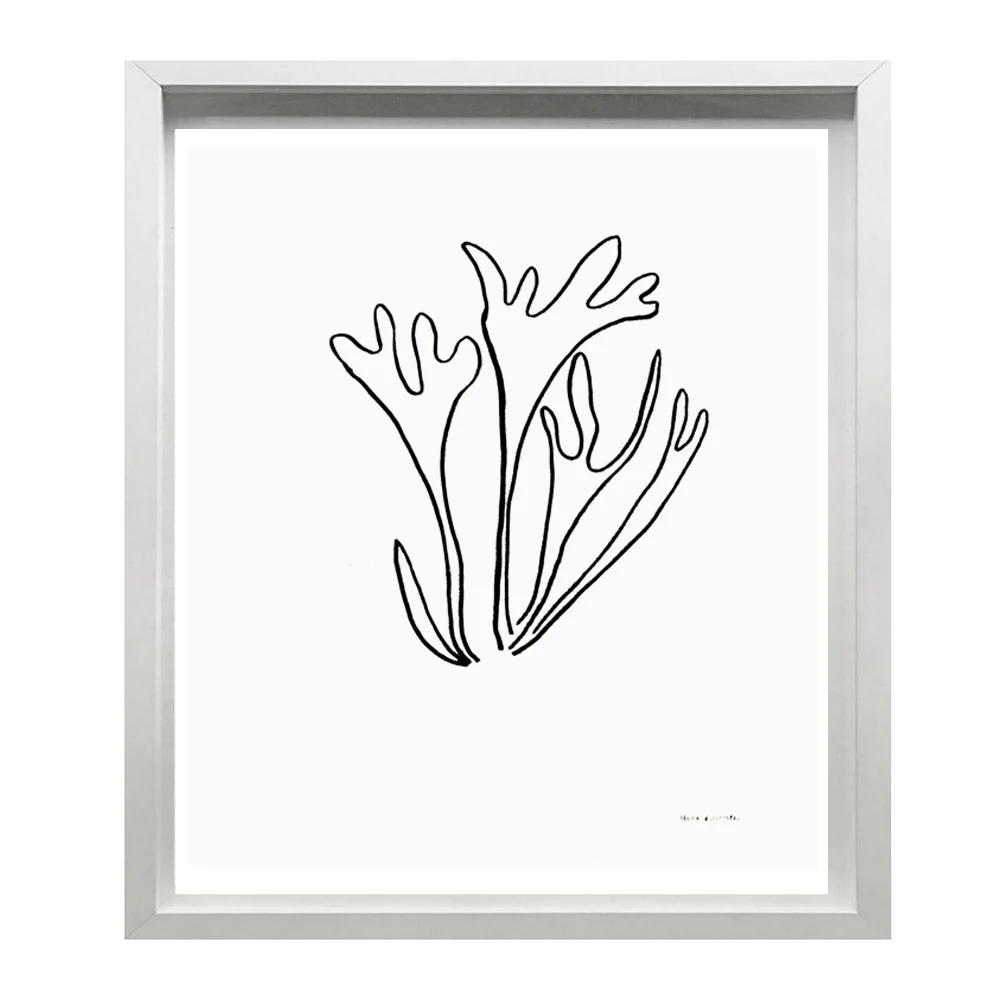 "Fern"