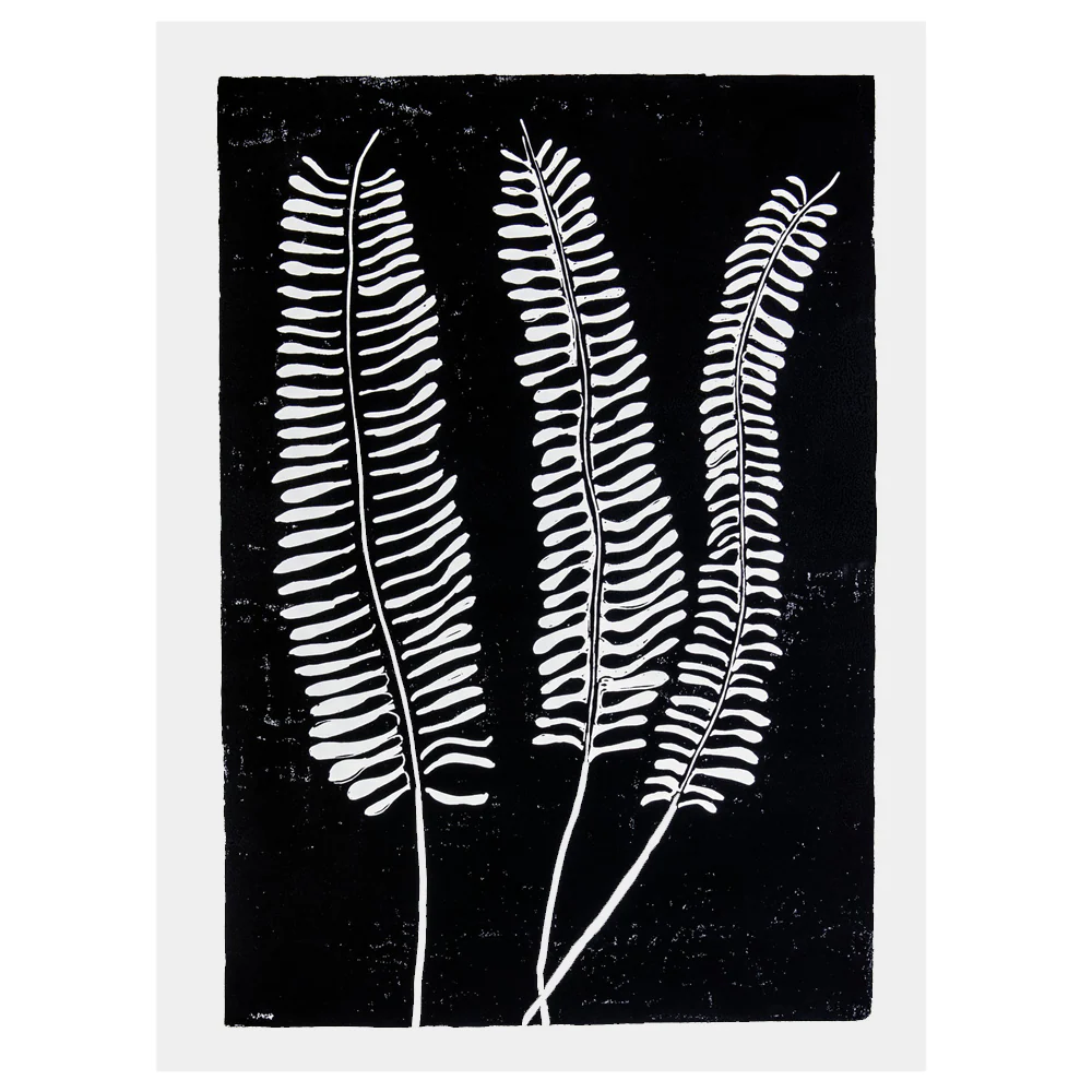 Fern 2