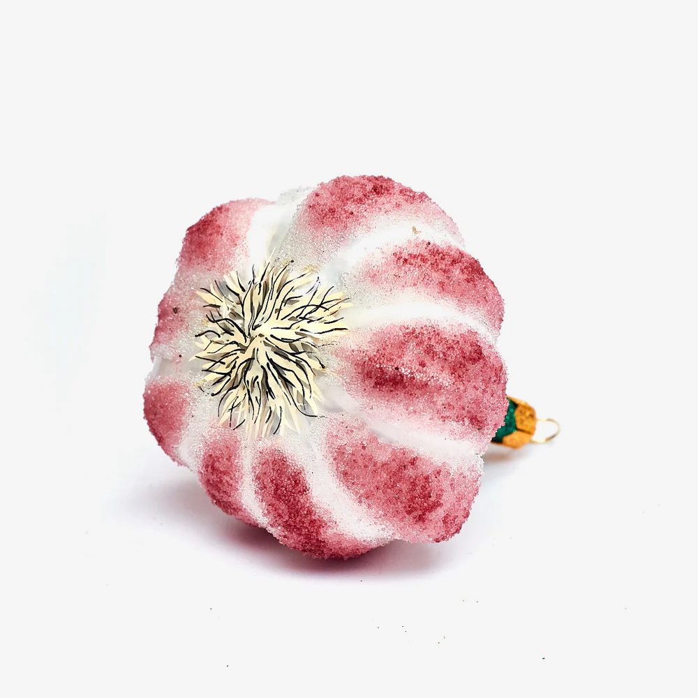Garlic Ornament