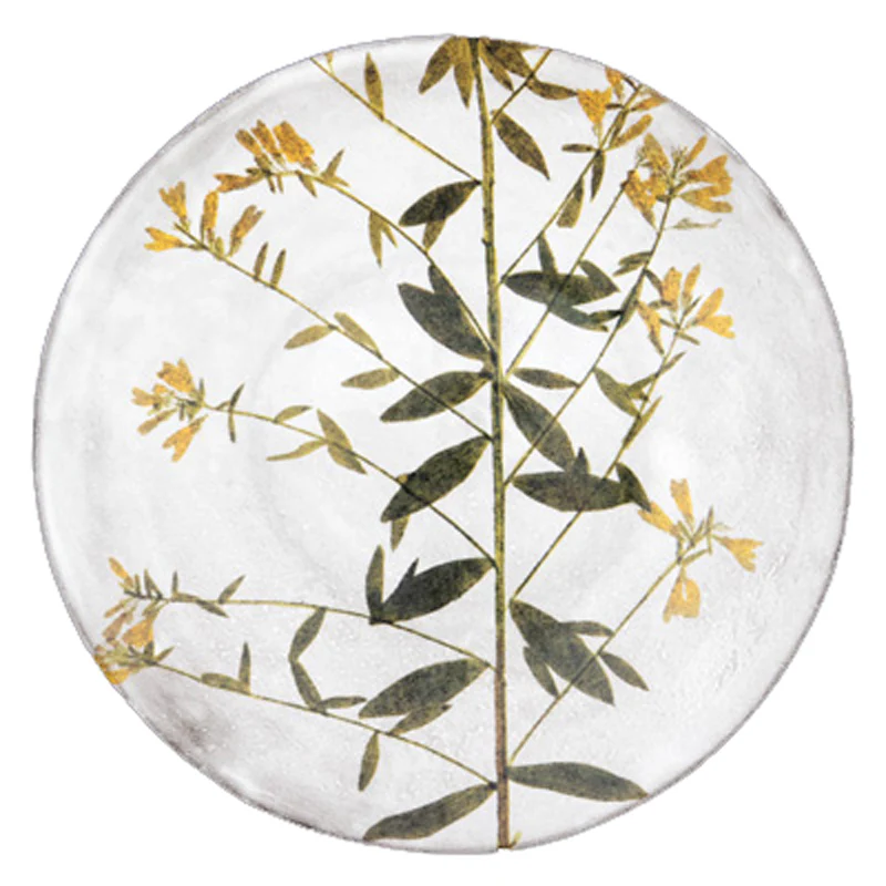 Genista Plate