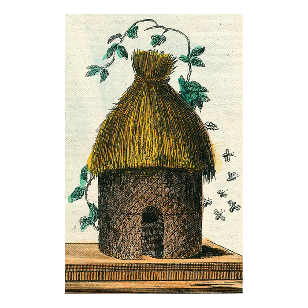 Hive