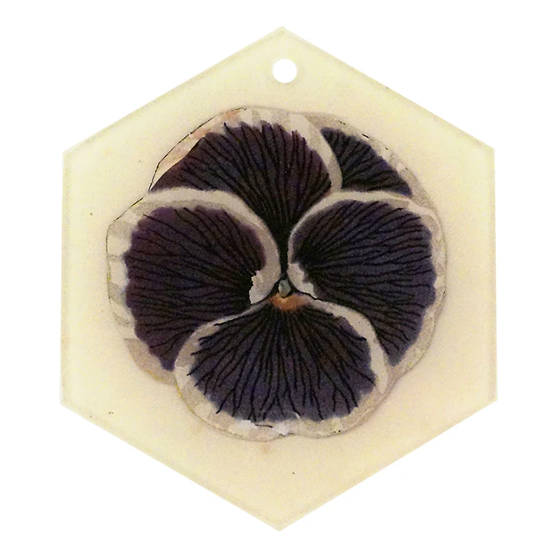 Purple (Pansy)