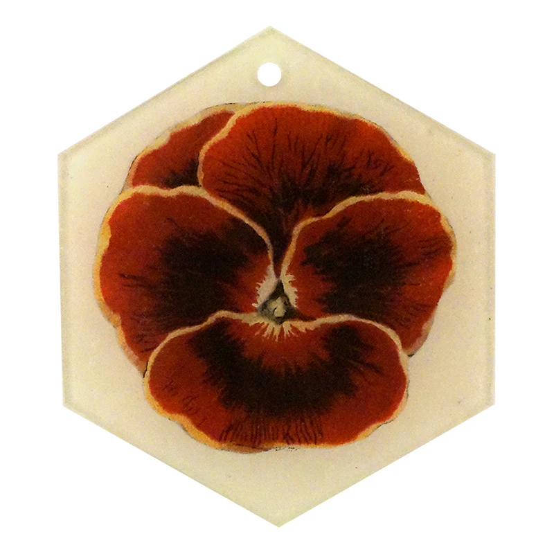Red (Pansy)