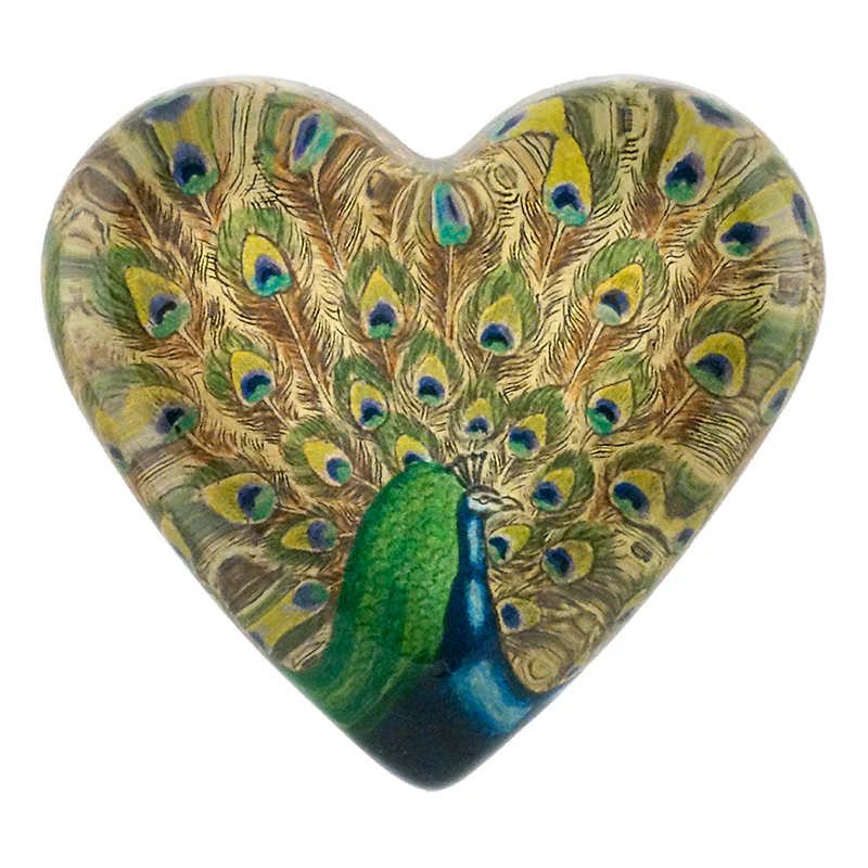 Fanned Peacock