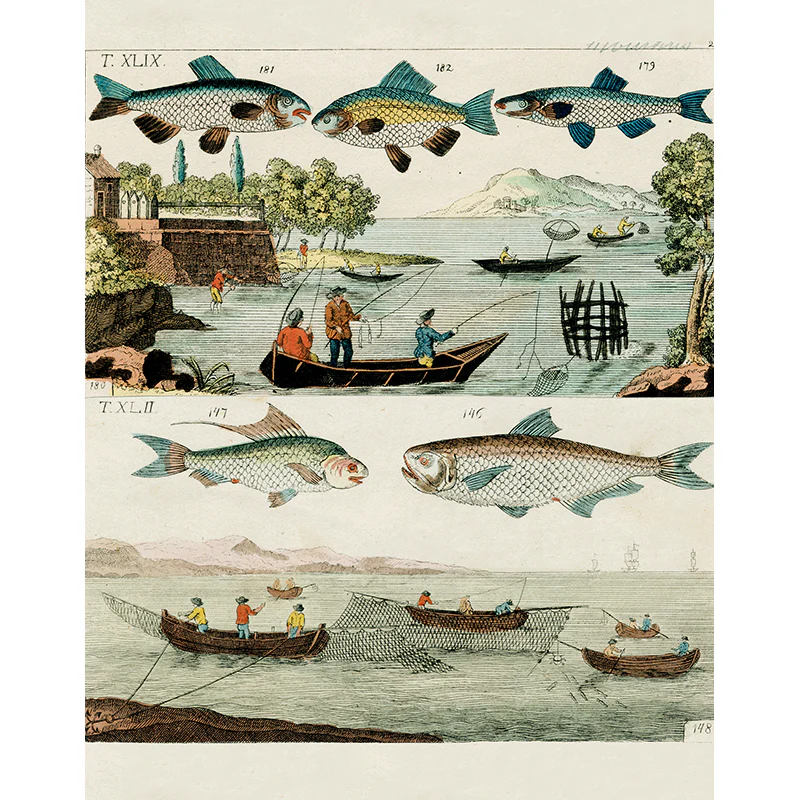 Fishing Dock /Fishing Boats (p 163)