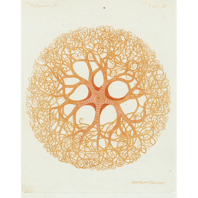 Sea Creature (p 186)