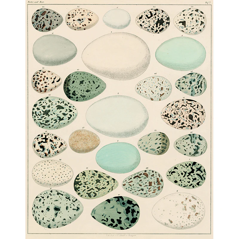 Egg Chart (p 274)