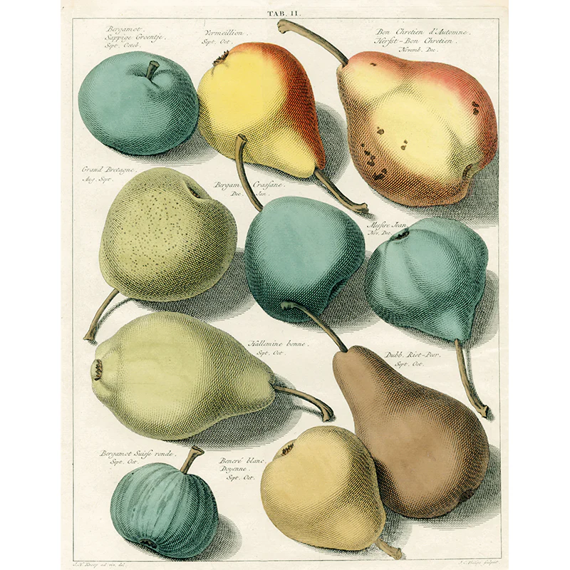 Pears Tab. II (p 57)