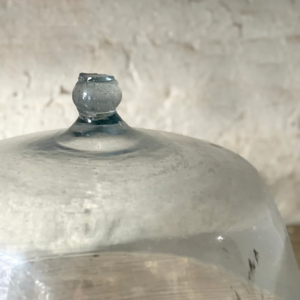 Large 19th-century French Glass Cloche de Melon (LG-06) - Image 5