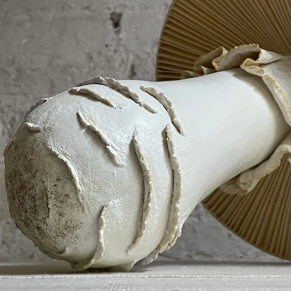 Large Papier-Mâché Mushroom - Image 4