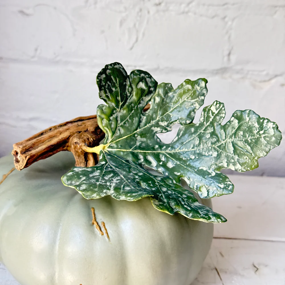 Large Porcelain Crown Prince Squash with Leaf - Image 3