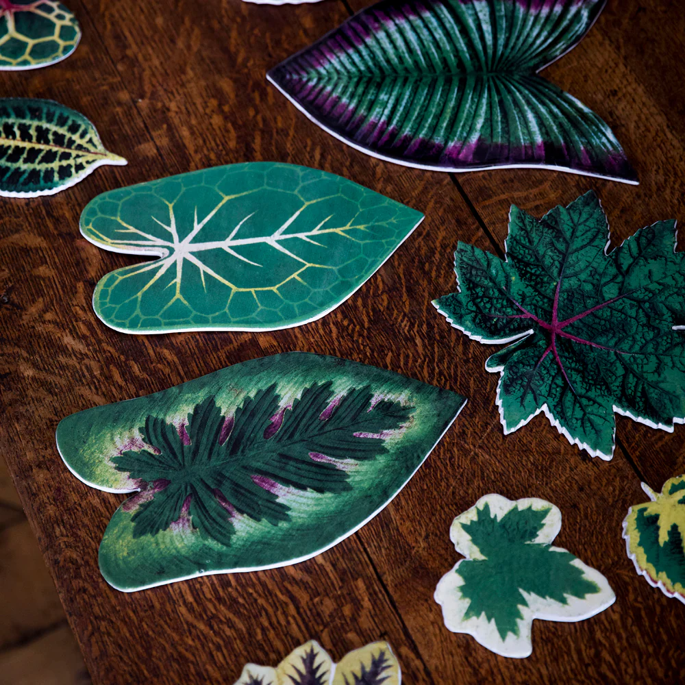 Leaf Platter 58 - Image 2