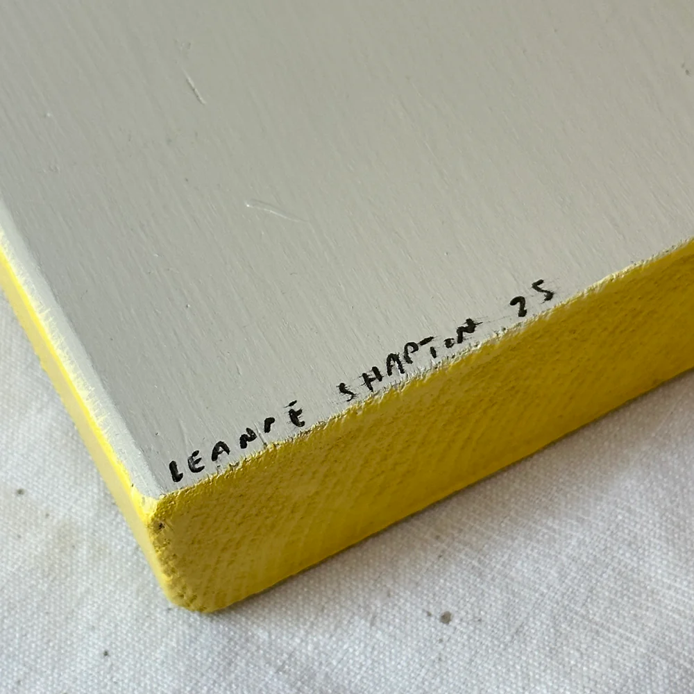 Leanne Shapton "An Angel at my Table" Painted Wooden Book - Image 4