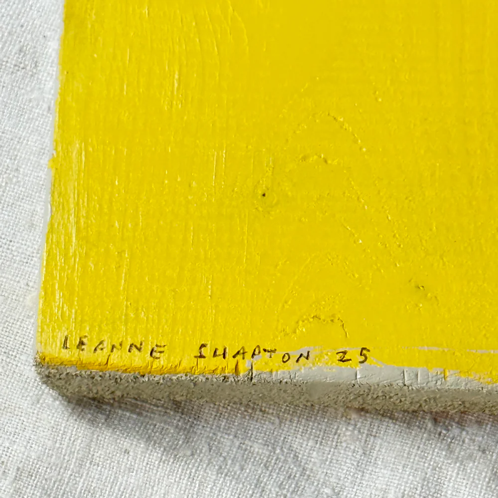 Leanne Shapton "Lady Chatterley's Lover" Painted Wooden Book - Image 4