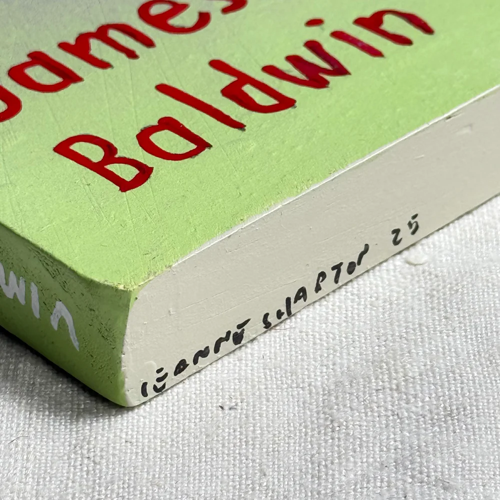 Leanne Shapton "Notes of a Native Son" Painted Wooden Book - Image 3