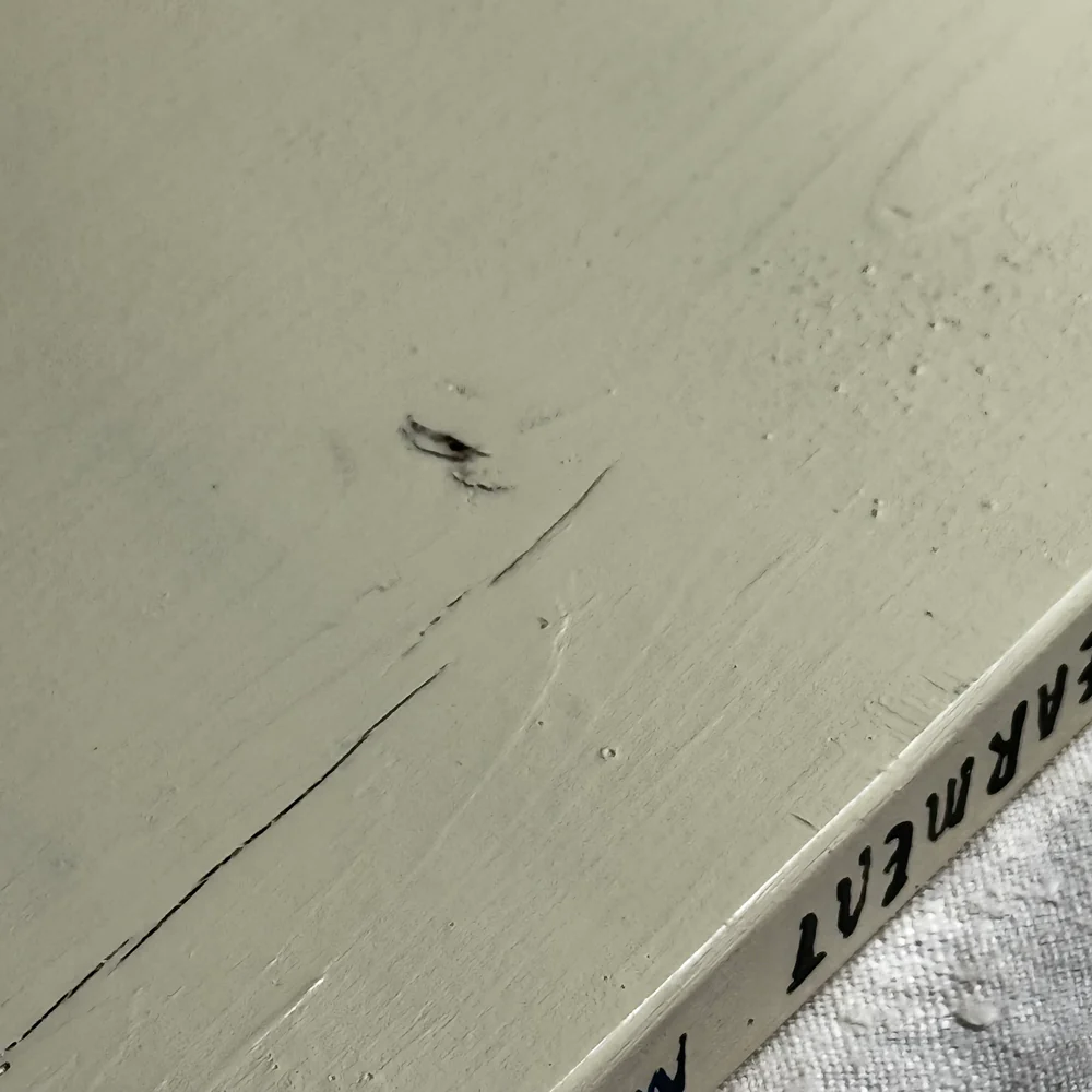 Leanne Shapton "Terms of Endearment" Painted Wooden Book - Image 5