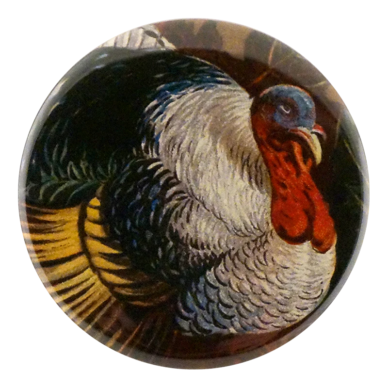 A Happy Thanksgiving