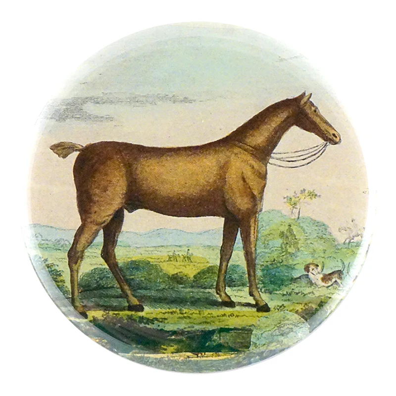 Brown Horse