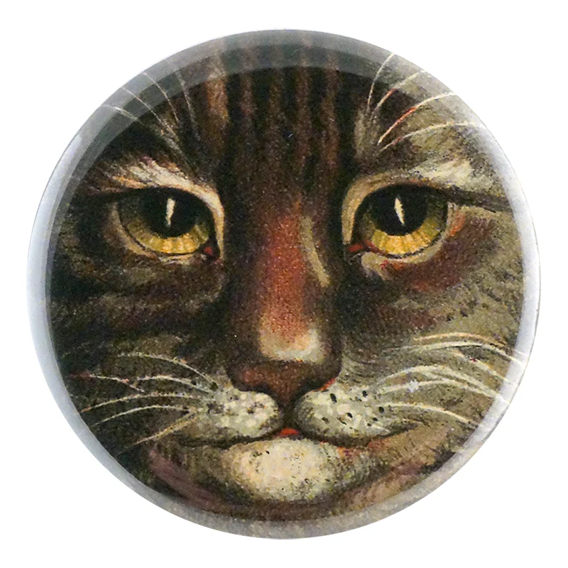 Country Cat Close Up