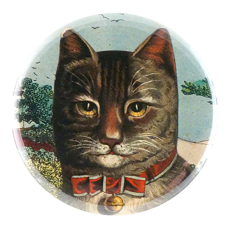 Country Cat