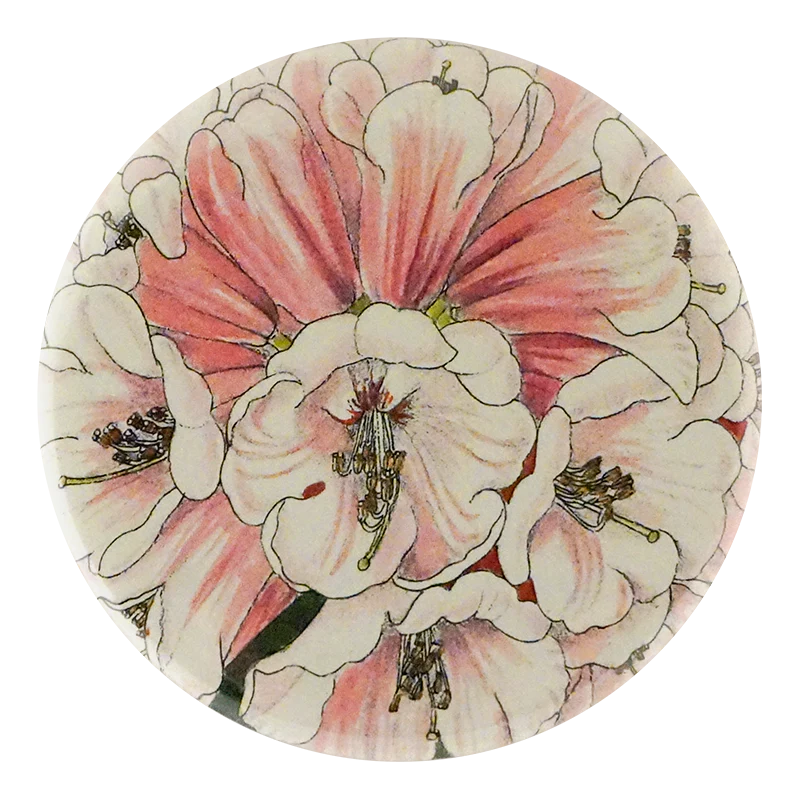 Rhododendron Fulvum