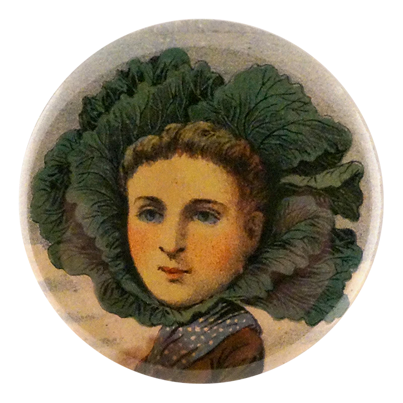 Flat Dutch Cabbage