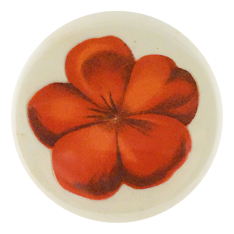 Geranium Fleuret 1