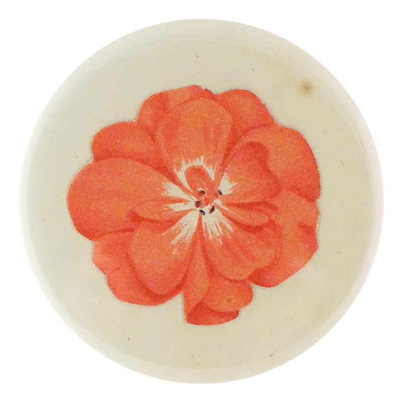 Geranium Fleuret 2