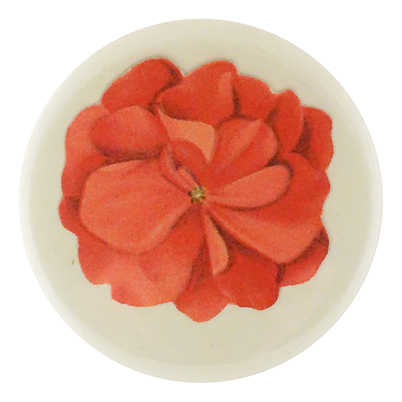 Geranium Fleuret 3