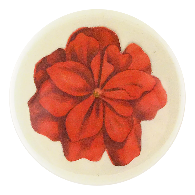 Geranium Fleuret 4