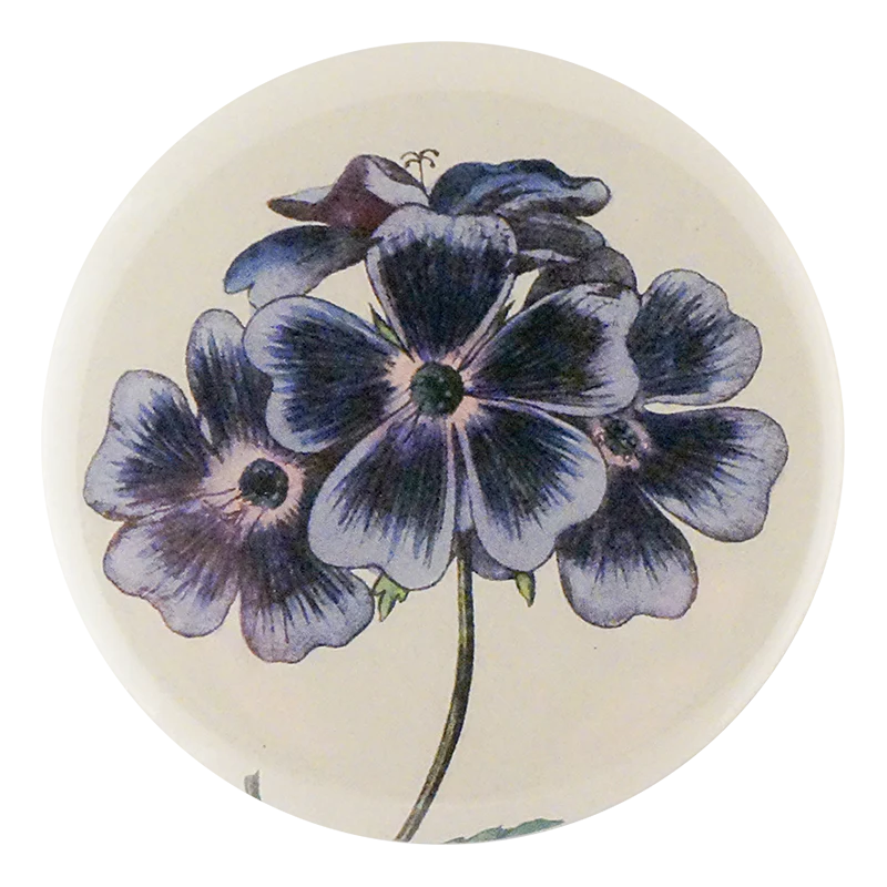 Blue Geranium