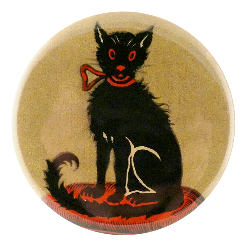 Good Luck To You Black Cat