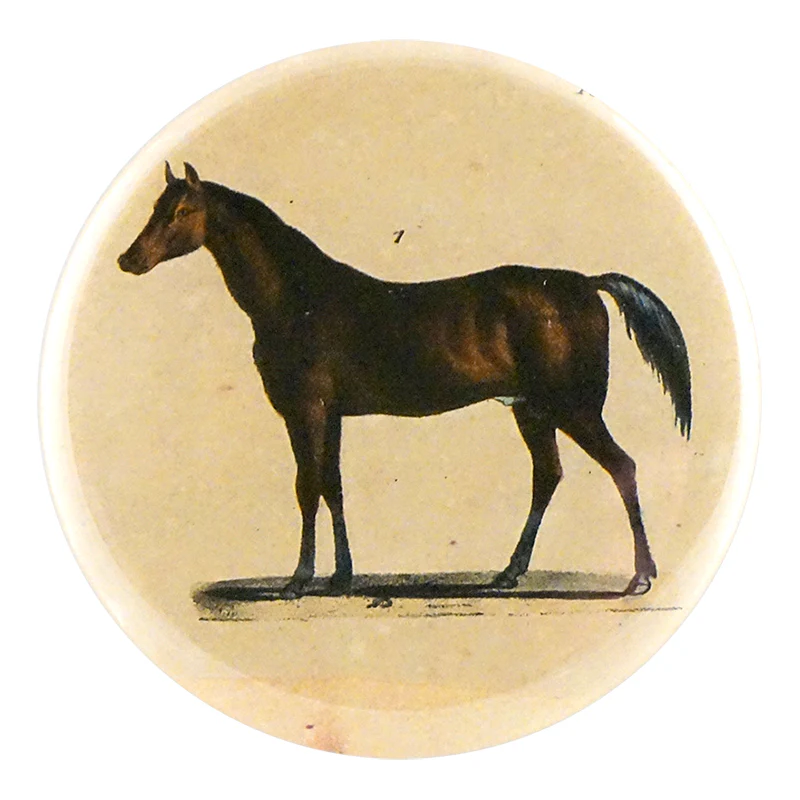 Horse #1