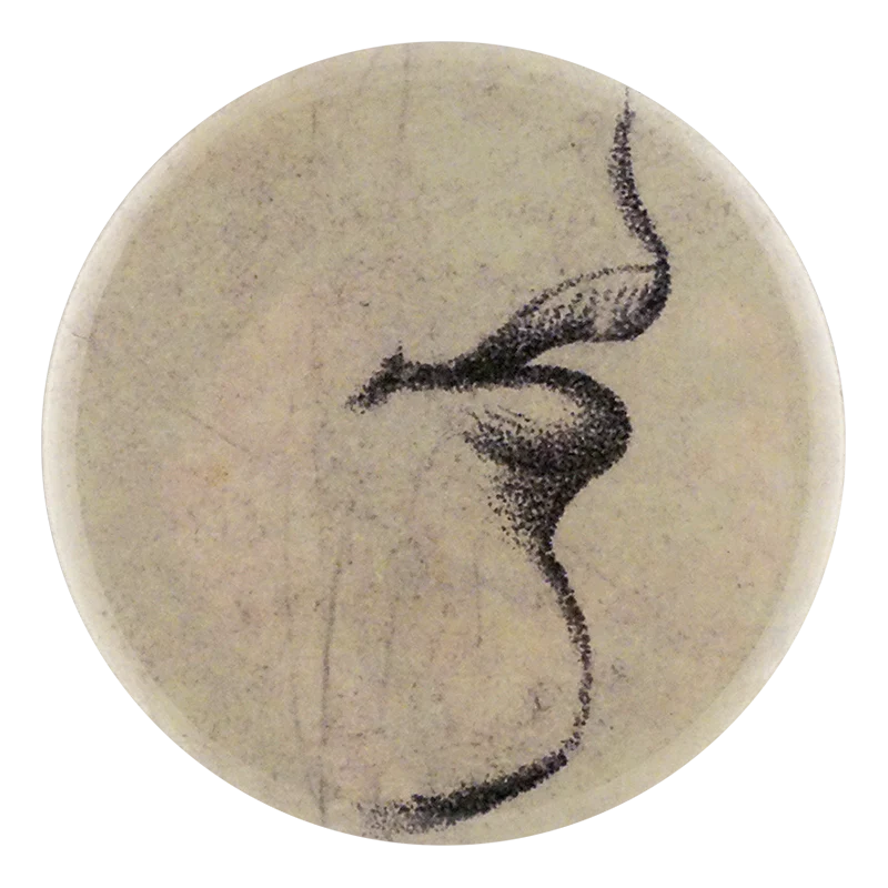 Lessons: Mouth