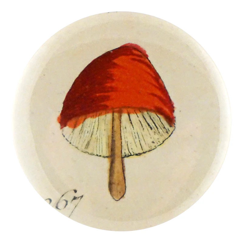 Orange Mushroom