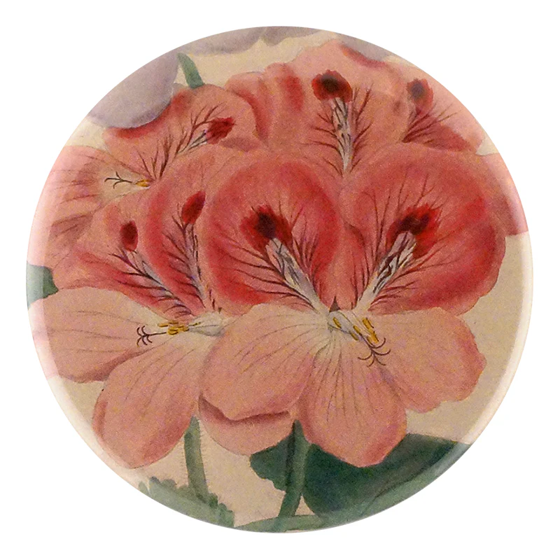 Pink Geranium