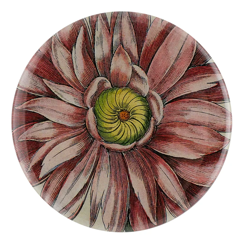 Purple Anemone