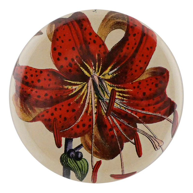 Red Lily