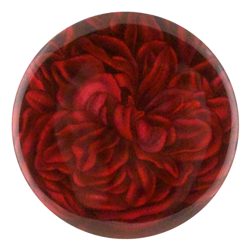 Rose Madame Masson