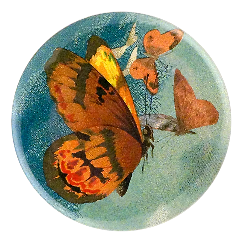 The Golden Butterfly