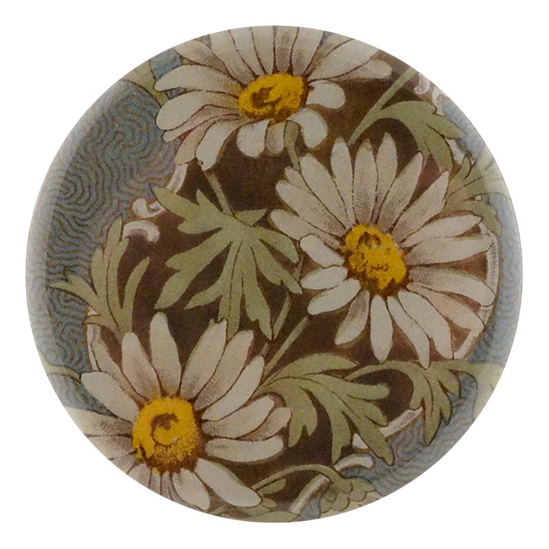 White Daisy Card Back