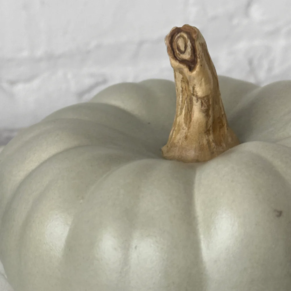 Medium Crown Prince Porcelain Squash - Image 4
