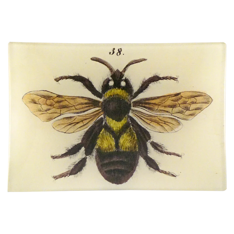 Bee 38