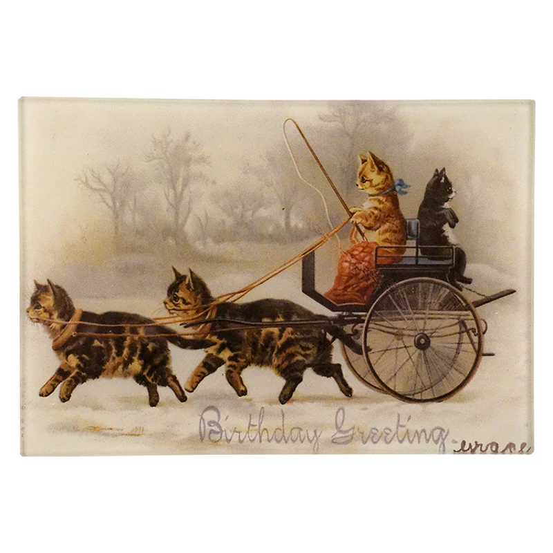Cat Cart